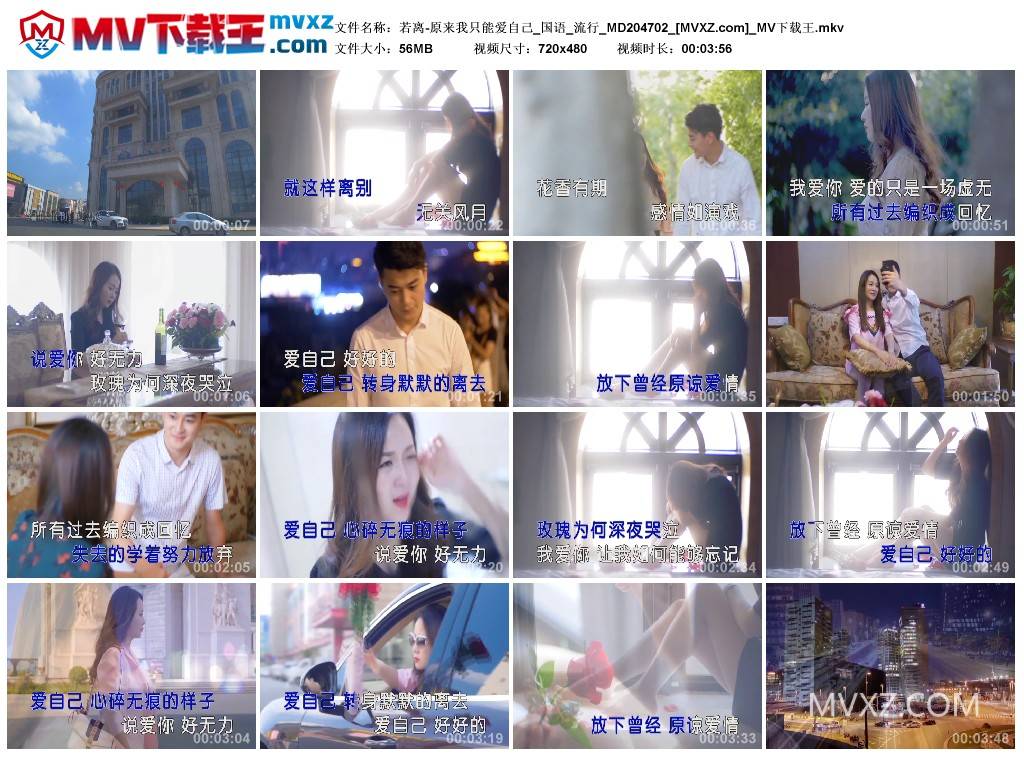 若离-原来我只能爱自己_国语_流行_MD204702